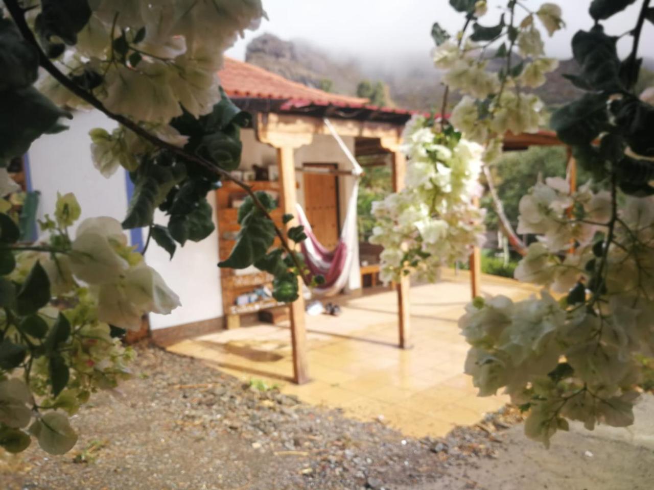 Ecotara Canary Islands Vendégház Fátaga Kültér fotó