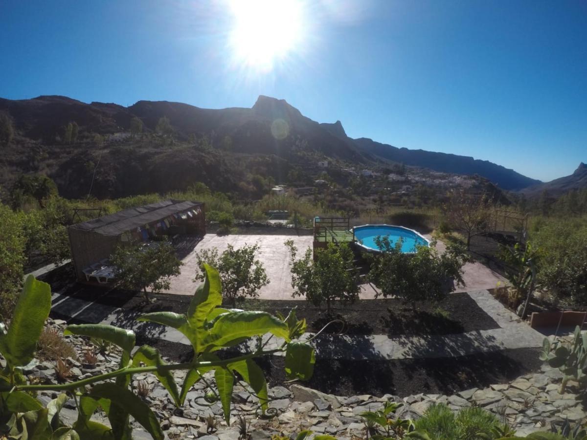 Ecotara Canary Islands Vendégház Fátaga Kültér fotó