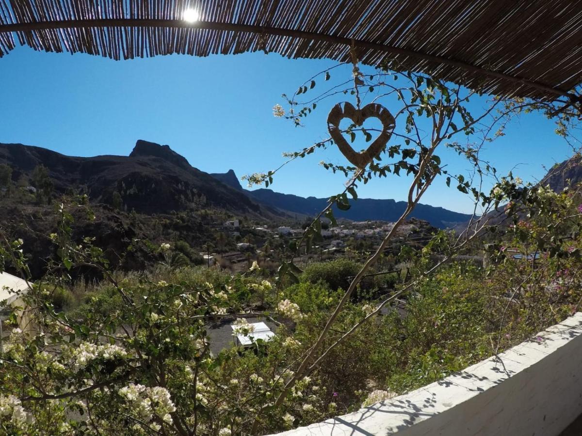 Ecotara Canary Islands Vendégház Fátaga Kültér fotó